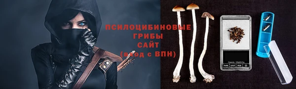 мет Белокуриха